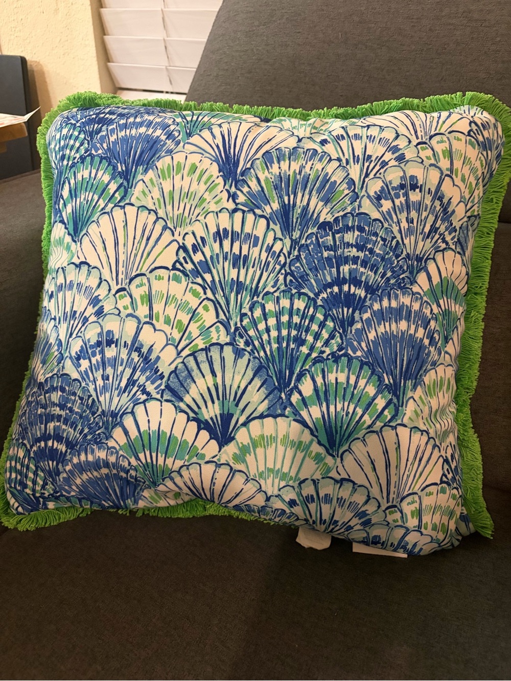 Pottery Barn x Lilly Pulitzer Oh Shello Pillow with Green Fringe